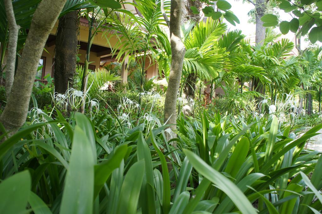 Palm Village Rawai Eksteriør bilde