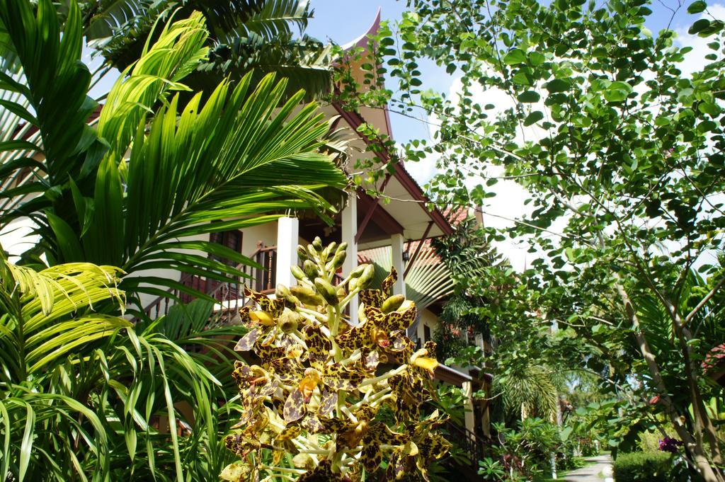 Palm Village Rawai Eksteriør bilde