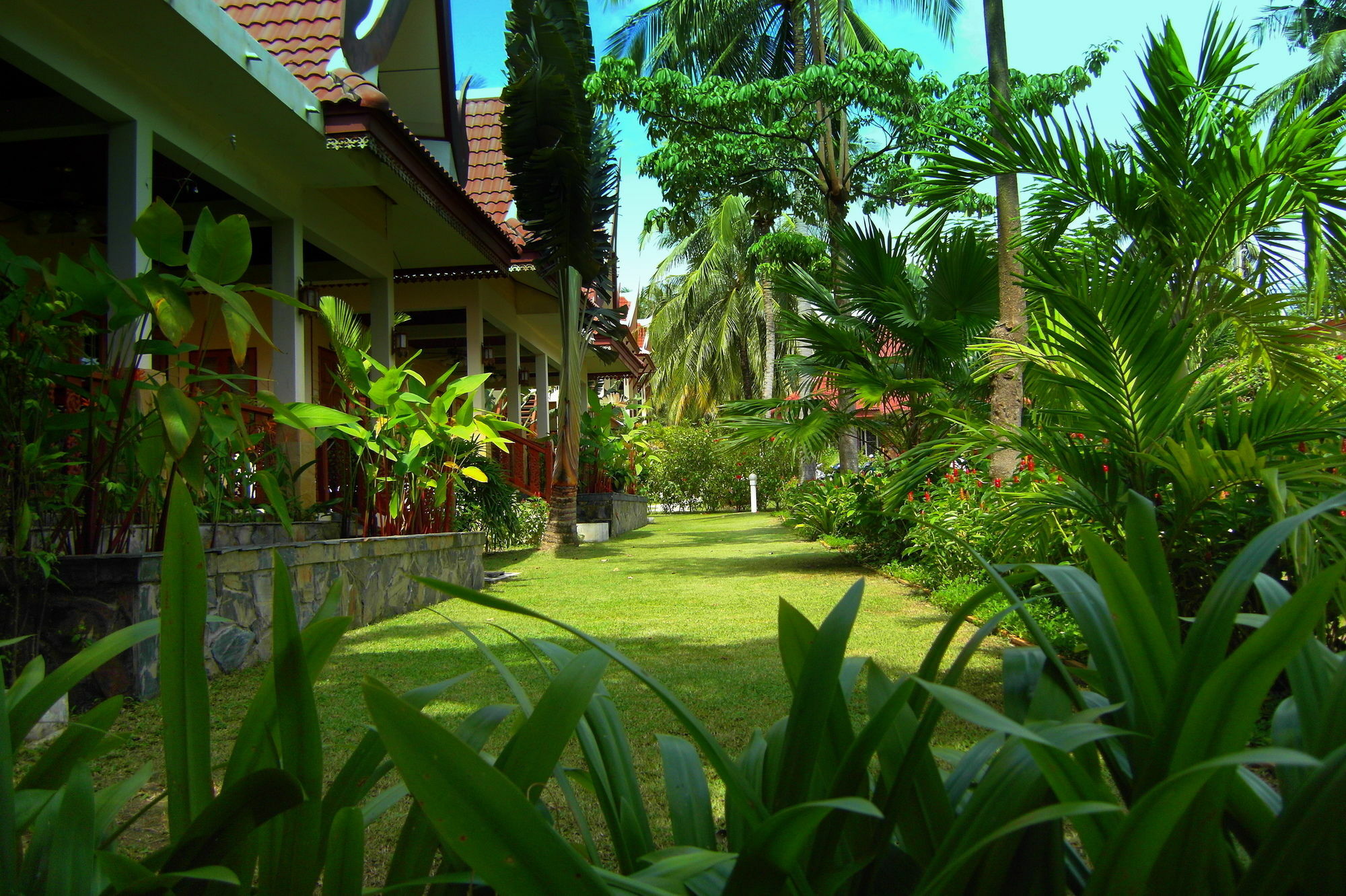 Palm Village Rawai Eksteriør bilde