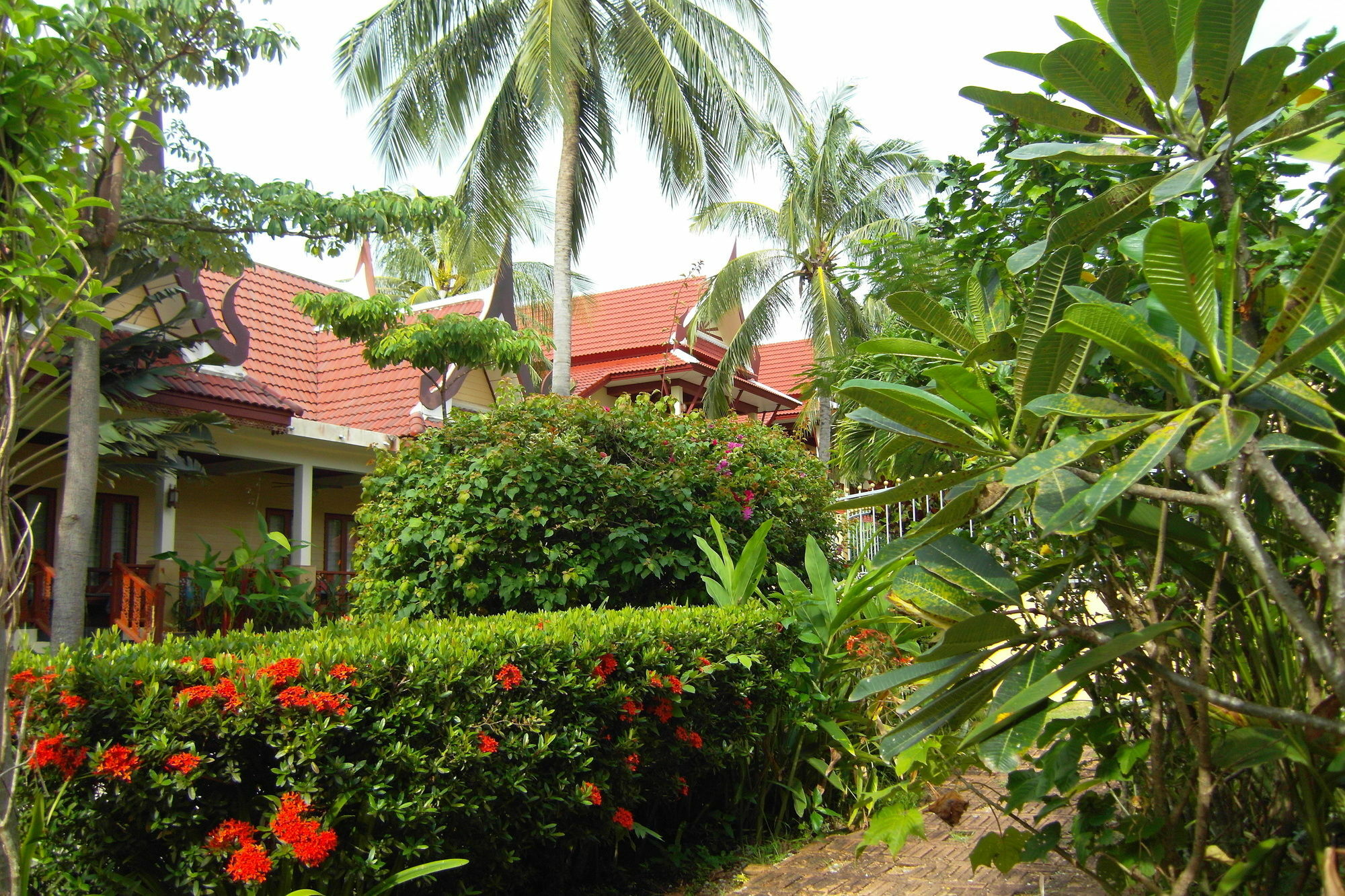 Palm Village Rawai Eksteriør bilde